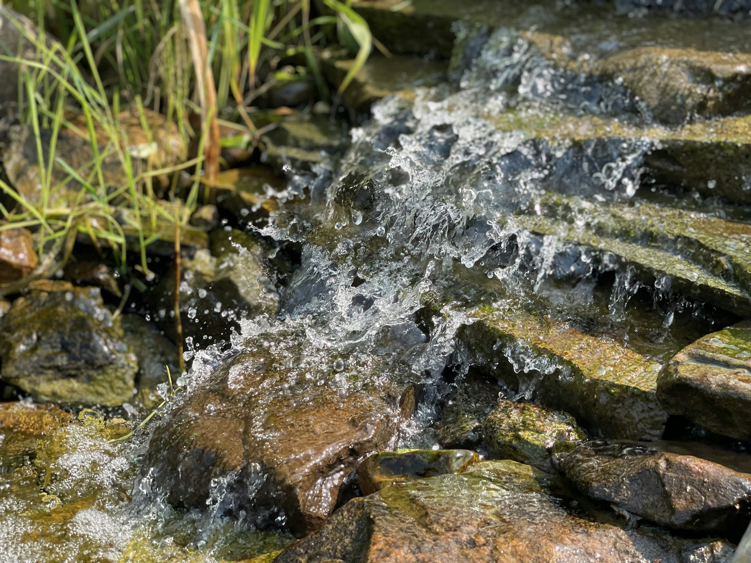 Klares Wasser fließt über bemooste graue Steine